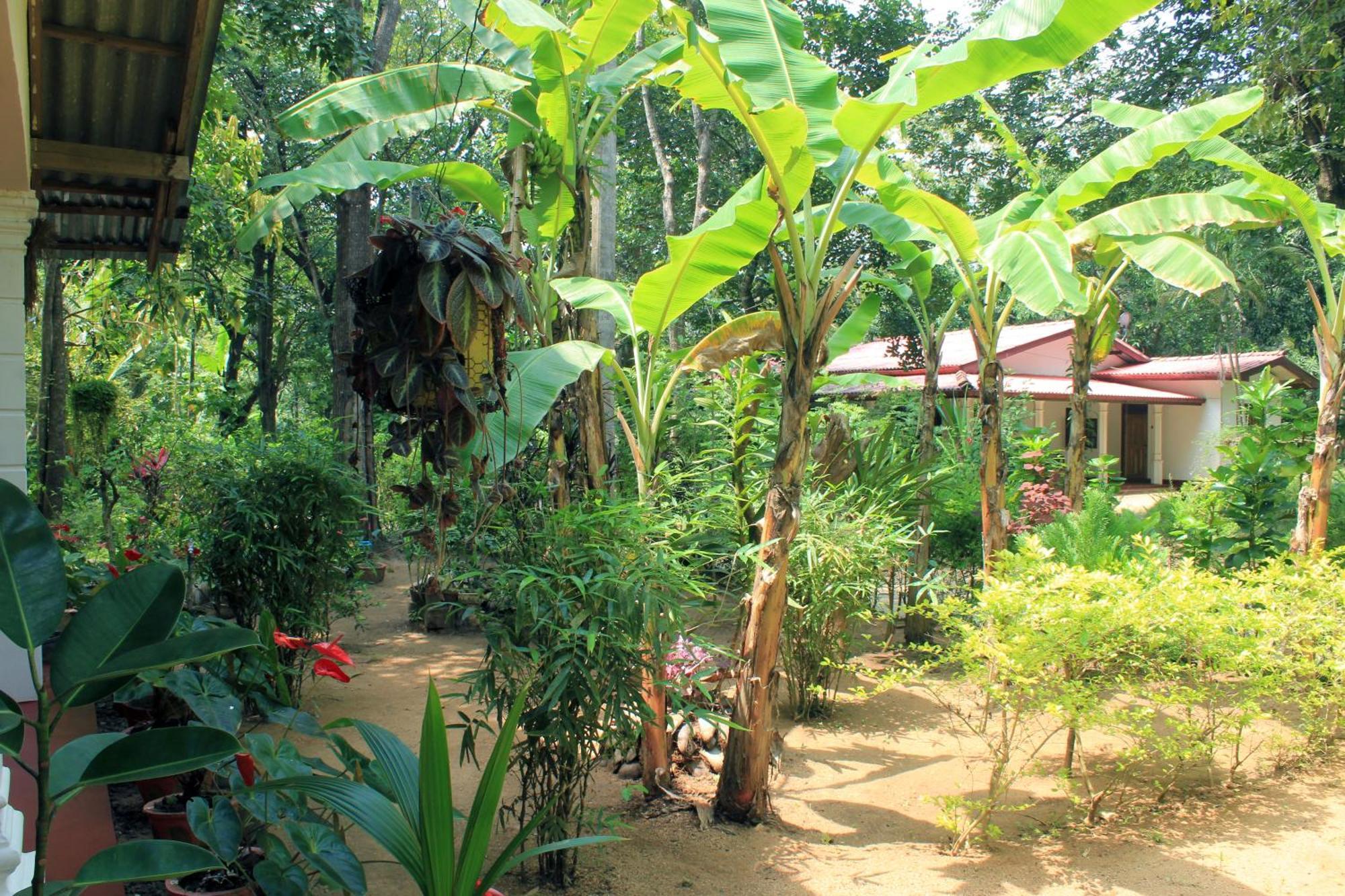 Suba Home Stay Сигирия Экстерьер фото